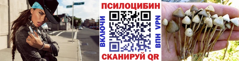 Псилоцибиновые грибы ЛСД  kraken зеркало  Ревда 