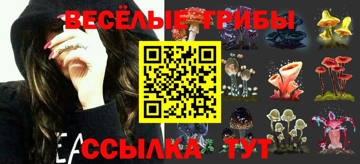 Галлюциногенные грибы ЛСД Ревда