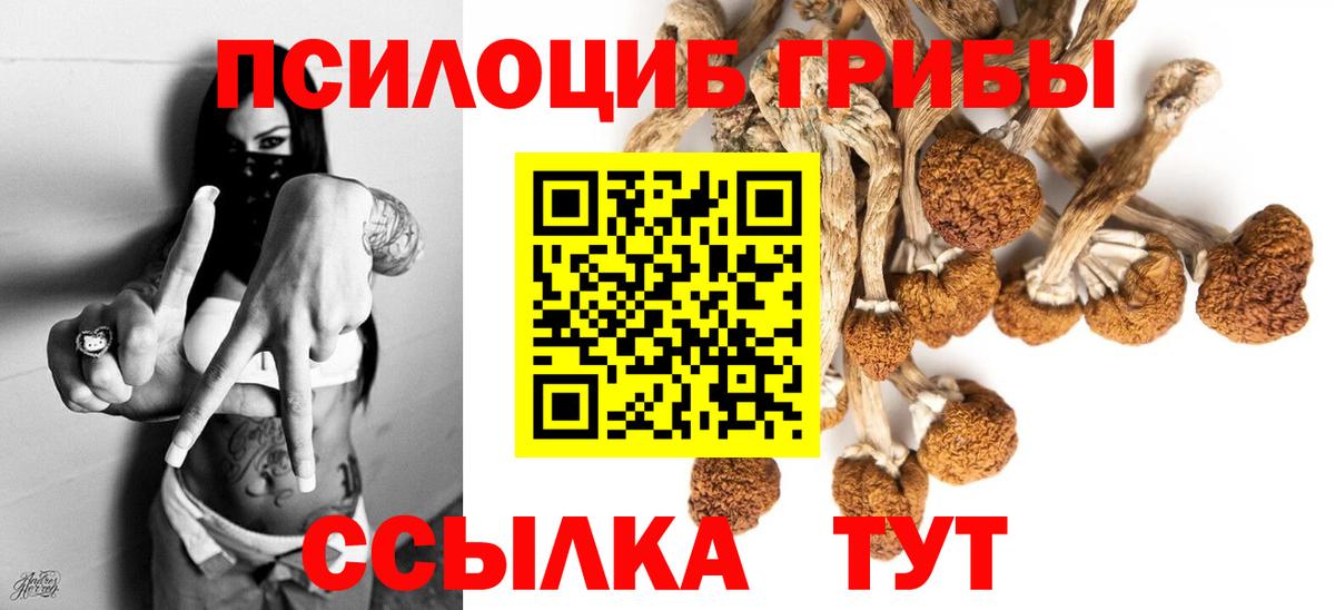 Ревда  Псилоцибиновые грибы MAGIC MUSHROOMS  Вход с VPN  Псилоцибиновые грибы Psilocybe 