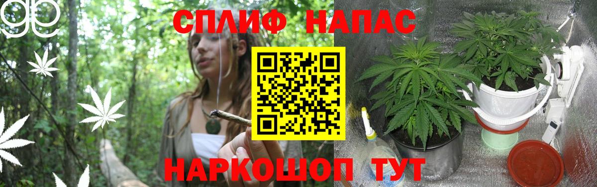 Каннабис семена Ревда